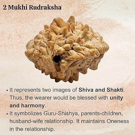 1 Mukhi Nepali Rudraksha image 3